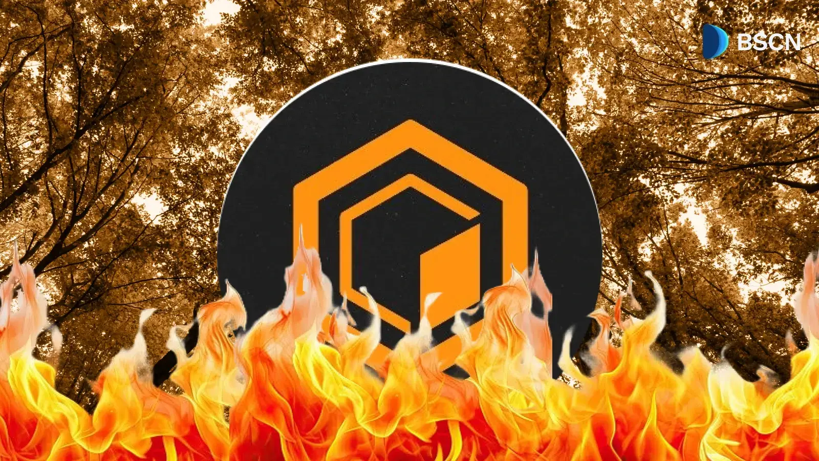 How Does Core DAO's Token Burn Work, and What Does It Mean for Long Term Supply? 