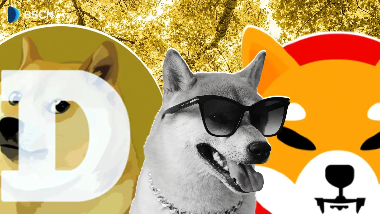 Shiba Inu vs Dogecoin: A Technical and Community-Based Comparison