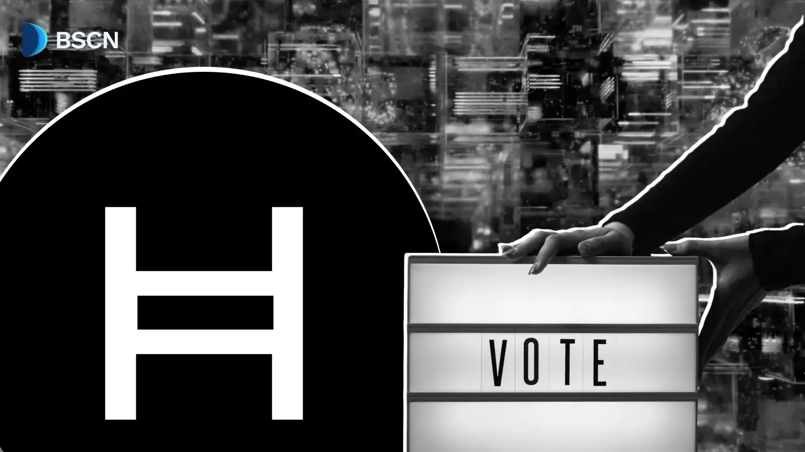 How Does Hedera's Council Model Differ From One Coin One Vote Blockchains? 