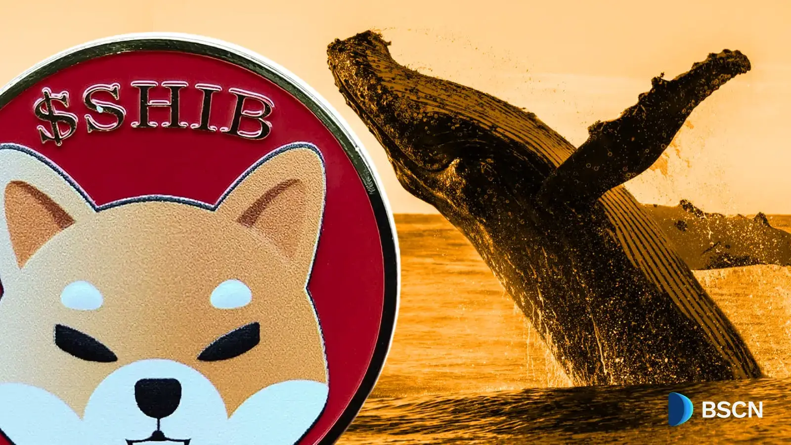 Shiba Inu's Most Mysterious Whale Made Another Quiet Exit 