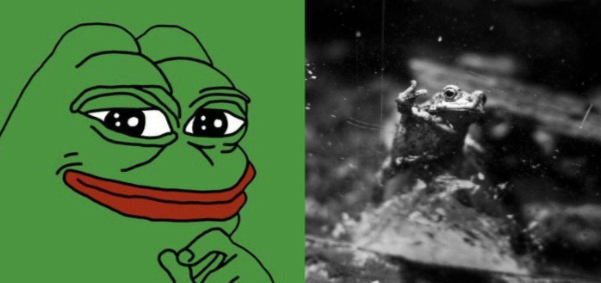 PEPE just saw its biggest exchange exodus in nearly two years