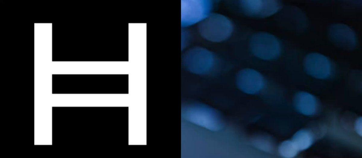 Hedera Network Activity is off the roof!