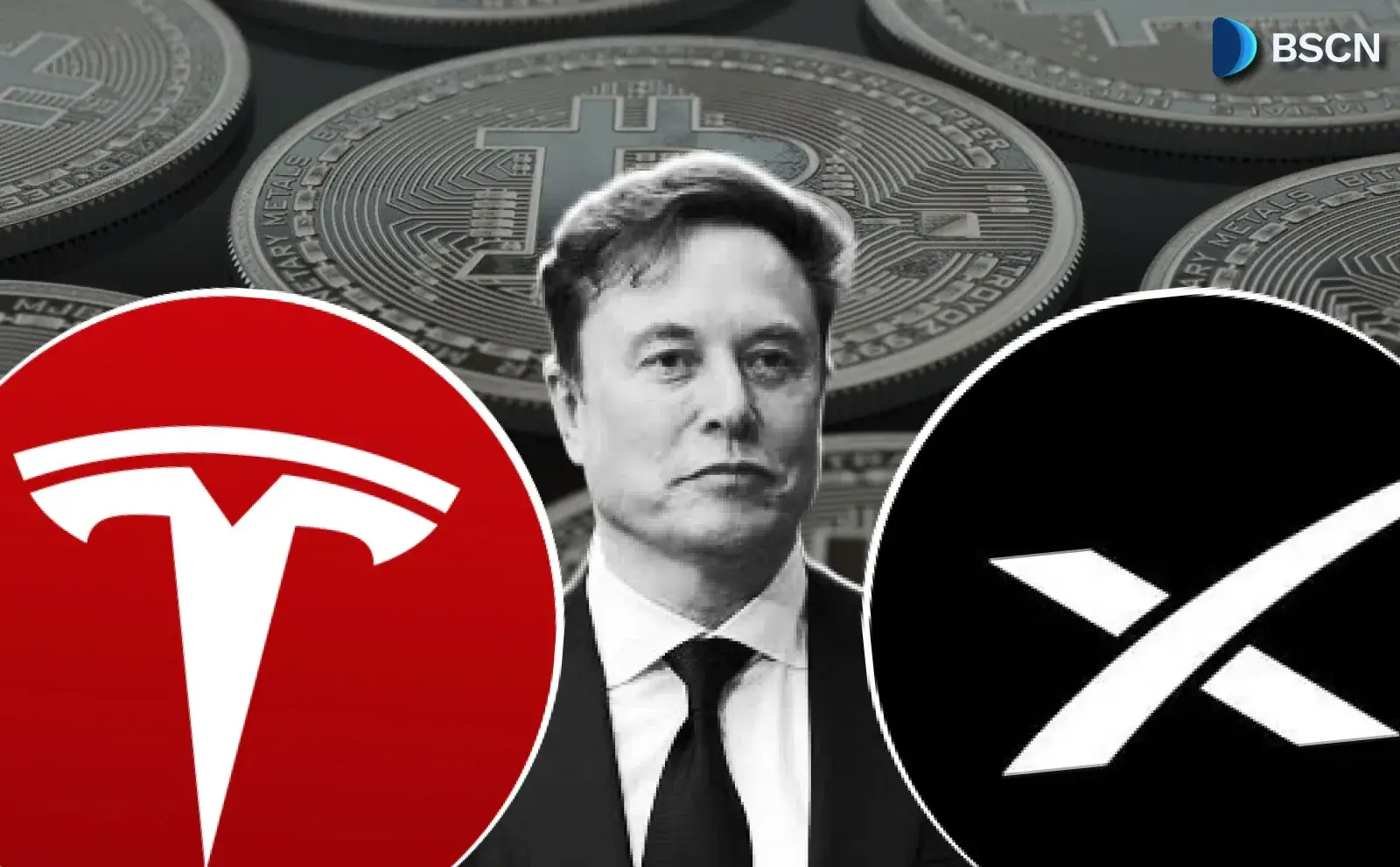 How Much Bitcoin Does Tesla & SpaceX Hold?