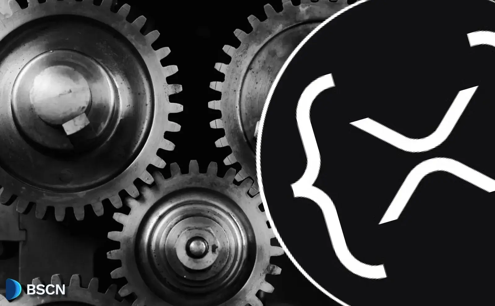 What is RippleX & Why Does it Matter for XRP Ledger?